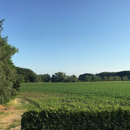 Gaestehaus Luessvitz Ummanz Kültér fotó
