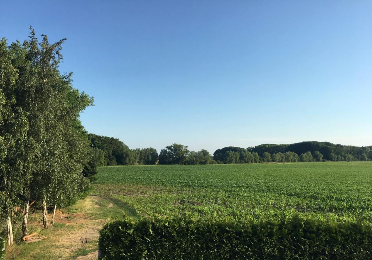 Gaestehaus Luessvitz Ummanz Kültér fotó